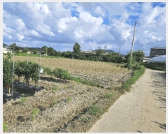  2025Ÿ72732  ֽ 鼮 긮 508      (1)