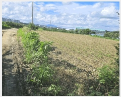  2025Ÿ72732  ֽ 鼮 긮 508      (1)