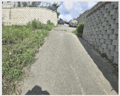  2025Ÿ72732  ֽ 鼮 긮 508      (1)