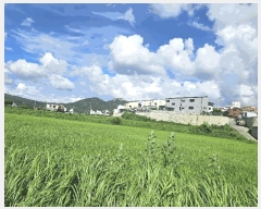  2025Ÿ72732  ֽ 鼮 긮 508      (1)