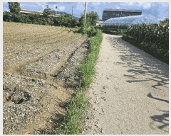  2025Ÿ72732  ֽ 鼮 긮 508      (1)