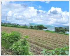  2025Ÿ72732  ֽ 鼮 긮 508      (1)