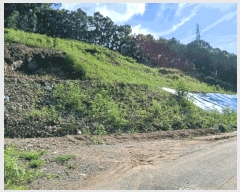  2025Ÿ��72919 ��� ��õ�� û��� ��ź�� 918-2      ����(��1)���