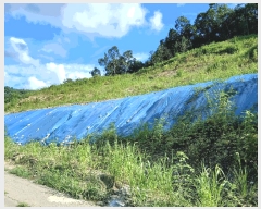  2025Ÿ��72919 ��� ��õ�� û��� ��ź�� 918-2      ����(��1)���