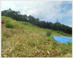  2025Ÿ��72919 ��� ��õ�� û��� ��ź�� 918-2      ����(��1)���