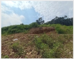  2025Ÿ��72919 ��� ��õ�� û��� ��ź�� 918-2      ����(��1)���