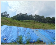  2025Ÿ��72919 ��� ��õ�� û��� ��ź�� 918-2      ����(��1)���