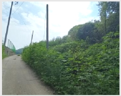  2025Ÿ��72919 ��� ��õ�� û��� ��ź�� 918-2      ����(��1)���