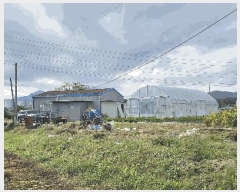  2025Ÿ��73257 ��� ���ֽ� ���浿 148-6       ����,â�����