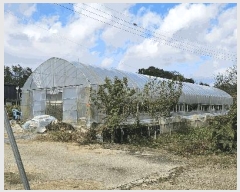  2025Ÿ��73257 ��� ���ֽ� ���浿 148-6       ����,â�����