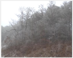  2025Ÿ153  õ  Ÿ 271-11      ð