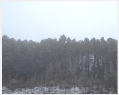  2025Ÿ153  õ  Ÿ 271-11      ð