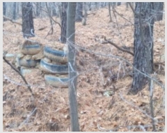  2025Ÿ153  õ  Ÿ 271-11      ð