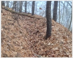  2025Ÿ153  õ  Ÿ 271-11      ð