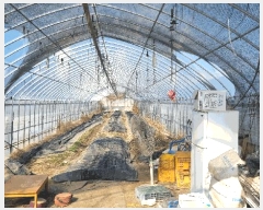  2025Ÿ��610  ����