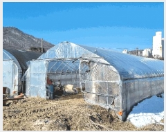  2025Ÿ��610  ����