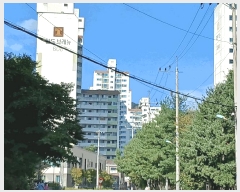  2025Ÿ��4292  ����Ʈ���