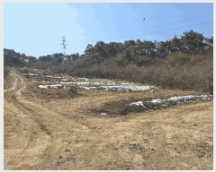  2025Ÿ��71692 ��� ��õ�� ���ϸ� ���ϸ� 270-5      ����(��1)���