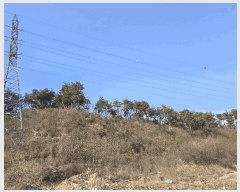  2025Ÿ��71692 ��� ��õ�� ���ϸ� ���ϸ� 270-5      ����(��1)���