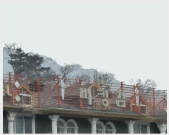  2025Ÿ71810  ֽ 鼮 긮 348      ڽü,,ȣ,