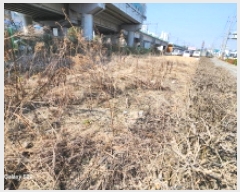  2025Ÿ��71872 ��� �����ν� ��絿 19-6       ����(��1)���