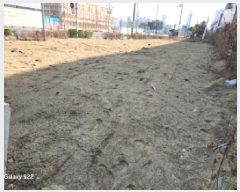  2025Ÿ��71872 ��� �����ν� ��絿 19-6       ����(��1)���