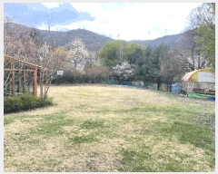  2025Ÿ��71994 ��� ���ֽ� �鼮�� ������ 184      �����ü����