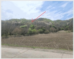  2025Ÿ��72041 ��� ��õ�� �ż��� ������ ��218      ����(�Ӿ�)���