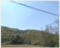  2025Ÿ��72041 ��� ��õ�� �ż��� ������ ��218      ����(�Ӿ�)���