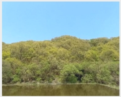  2025Ÿ��72041 ��� ��õ�� �ż��� ������ ��218      ����(�Ӿ�)���