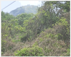  2025Ÿ��72148  �Ӿ߰��