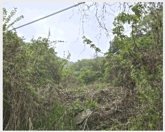  2025Ÿ��72148  �Ӿ߰��