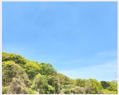  2025Ÿ��72148  �Ӿ߰��