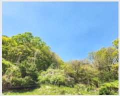  2025Ÿ��72148  �Ӿ߰��