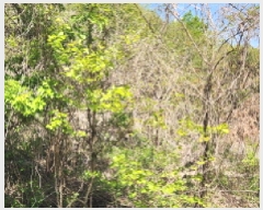  2025Ÿ��72148  �Ӿ߰��