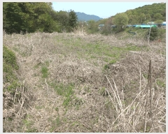  2025Ÿ��72168 ��� ����õ�� ����õ�� 76-16       ����(�Ӿ�)���