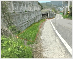  2025Ÿ��72168 ��� ����õ�� ����õ�� 76-16       ����(�Ӿ�)���