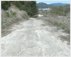  2025Ÿ��72168 ��� ����õ�� ����õ�� 76-16       ����(�Ӿ�)���