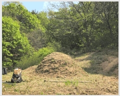  2025Ÿ��72173  �Ӿ߰��