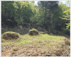  2025Ÿ��72173  �Ӿ߰��