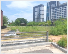  2025Ÿ��72478  �������