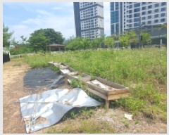  2025Ÿ��72478  �������