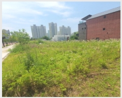  2025Ÿ��72478  �������