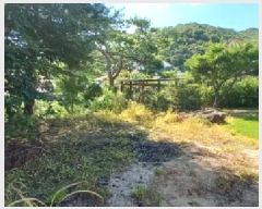  2025Ÿ��72781 ��� ��õ�� �źϸ� ��ä�� 644-4      ����(��1)���