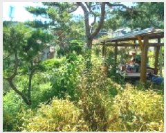  2025Ÿ��72781 ��� ��õ�� �źϸ� ��ä�� 644-4      ����(��1)���