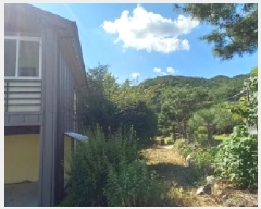  2025Ÿ��72781 ��� ��õ�� �źϸ� ��ä�� 644-4      ����(��1)���