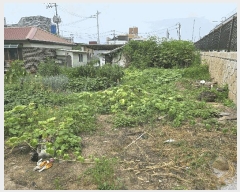  2025Ÿ��72835  �������