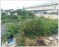  2025Ÿ��72835  �������