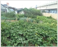  2025Ÿ��72835  �������