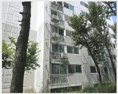  2025Ÿ��72992  ����Ʈ���